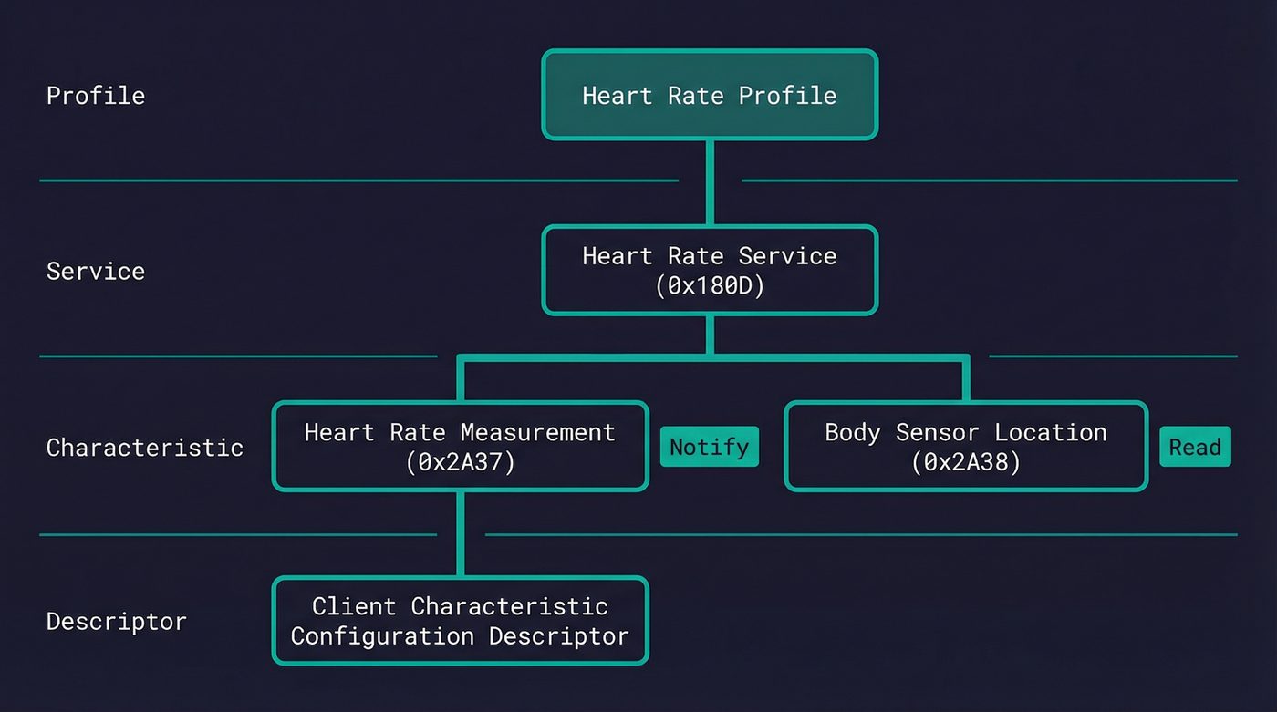 BLE GATT hierarchy: Profile, Service, Characteristic, and Descriptor layers with Heart Rate example