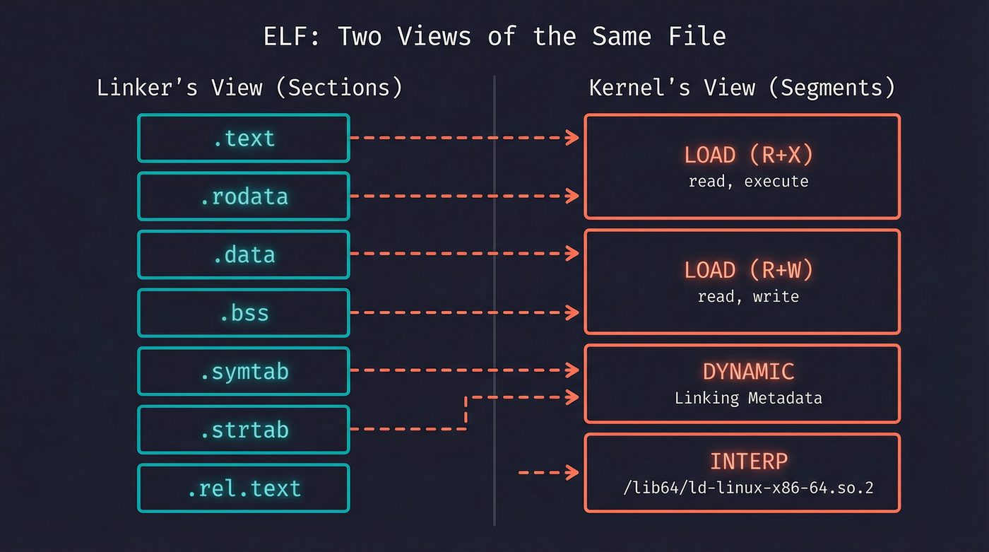 ELF sections vs segments — linker's view and kernel's view